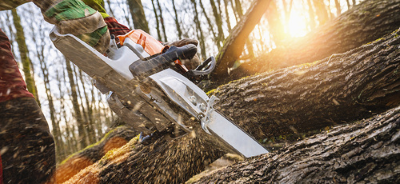 FWPCOT2273 Trim and cut felled trees